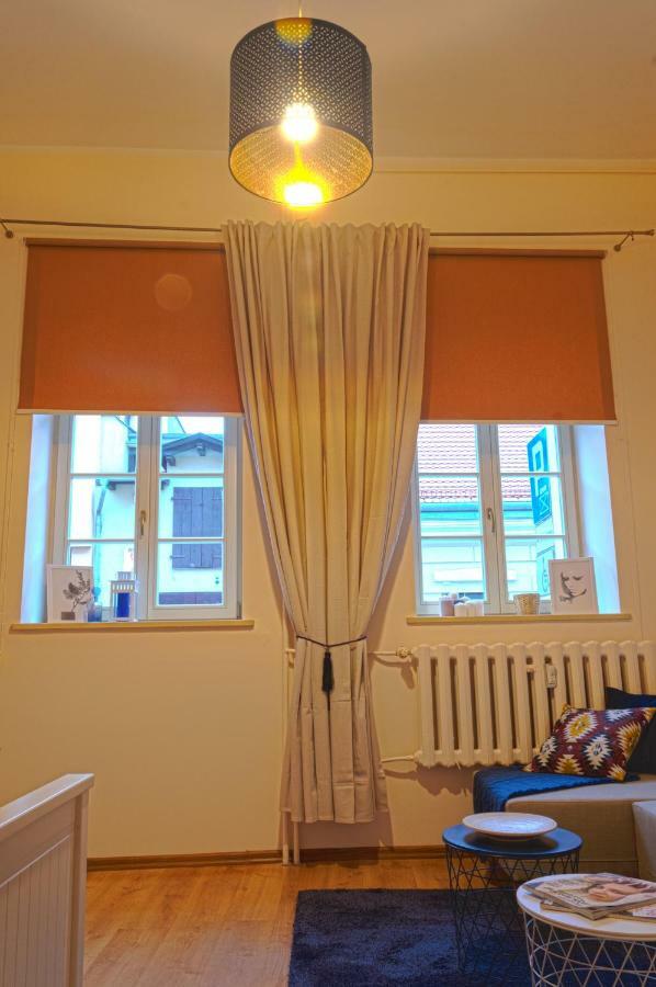Apartament Ducha No'7 Stary Toruń Εξωτερικό φωτογραφία