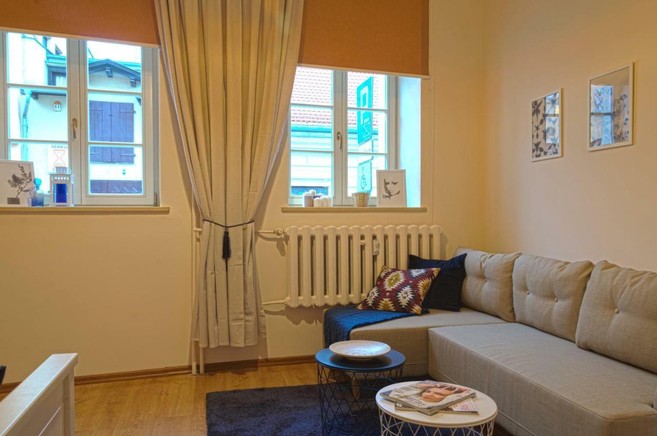 Apartament Ducha No'7 Stary Toruń Εξωτερικό φωτογραφία