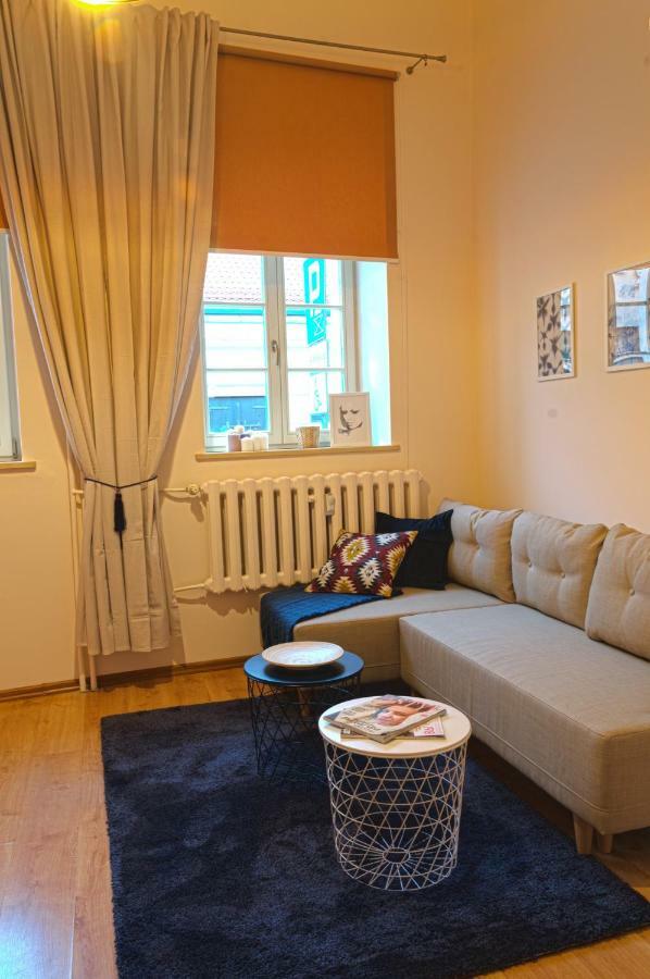 Apartament Ducha No'7 Stary Toruń Εξωτερικό φωτογραφία